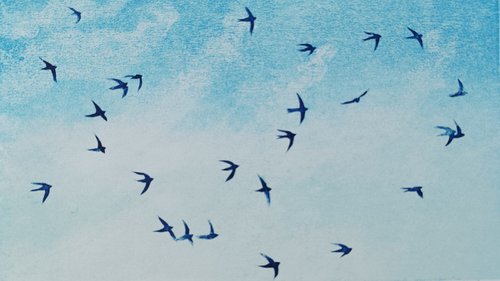 A Drift of Swifts by Jo Biggadike