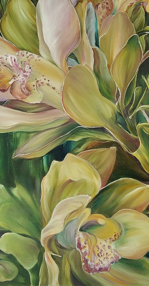 Orchids by Olga Van Dine