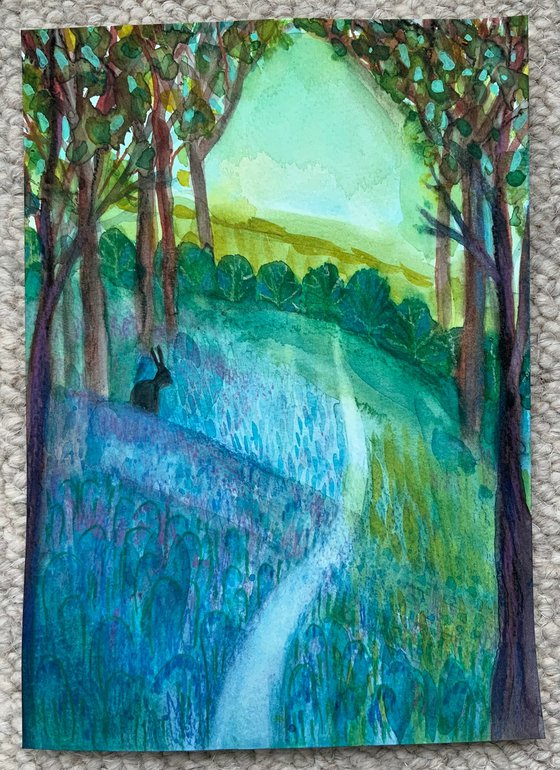 Bluebell Woodland