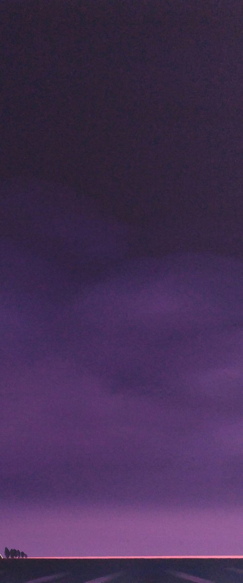 The start of a deep purple night (June) by Nelly van Nieuwenhuijzen