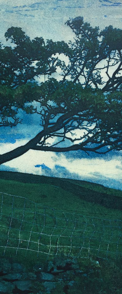 Wuthering Hawthorn by Diane McLellan