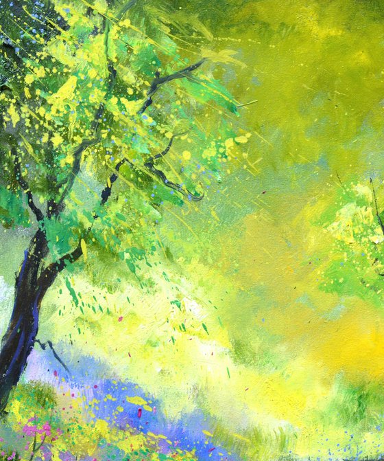 Spring in the wood