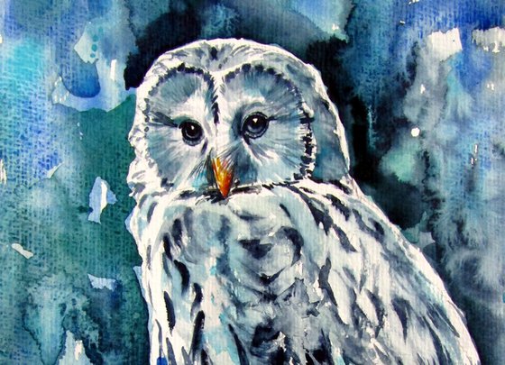 Owl in the forest
