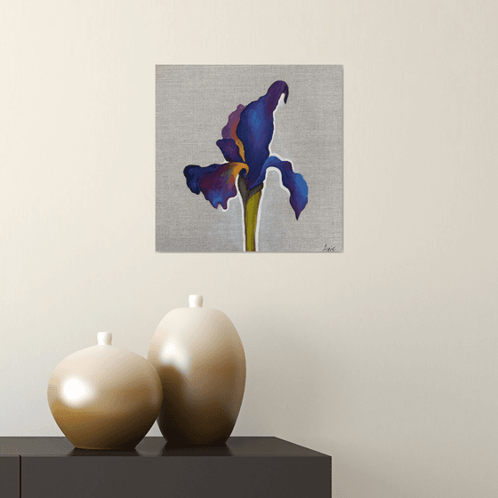 Velvet Iris