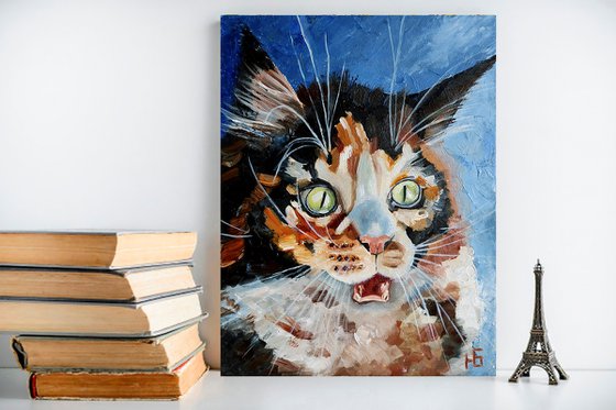 Surprised Cat