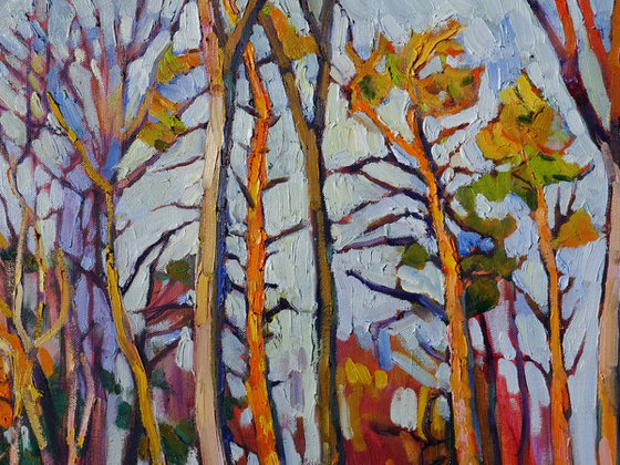 Trees in November