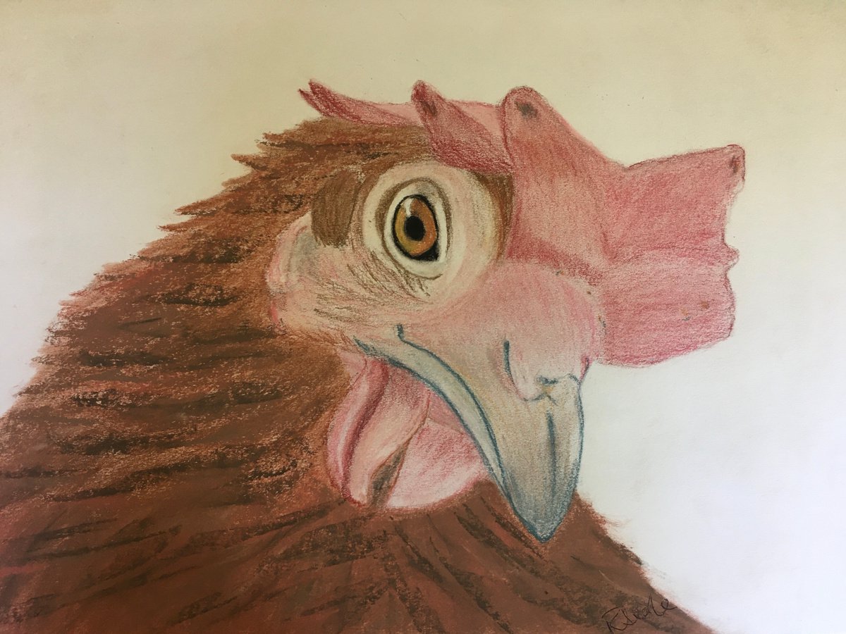 My Little Hen by Ruth Searle