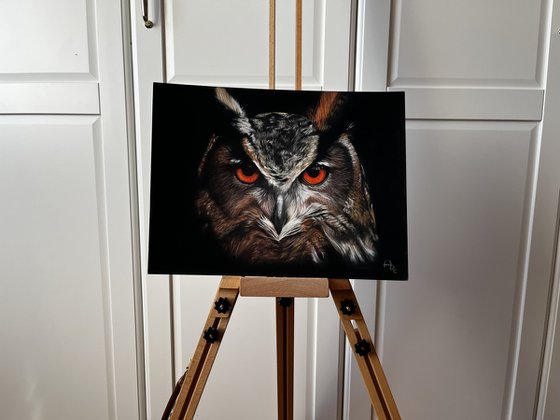 Amber Gaze - Original Owl Portrait