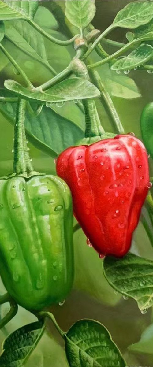 Green and red peppers by Kunlong Wang