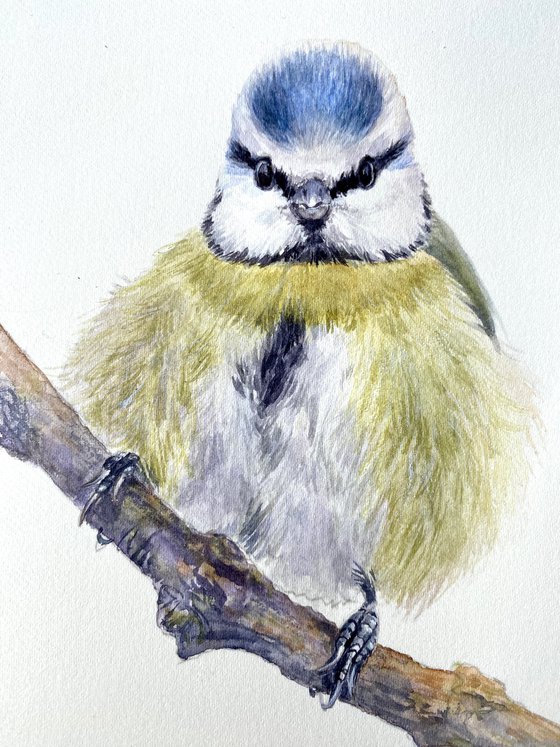 Nuthatch & Blue Tit (Set of 2)