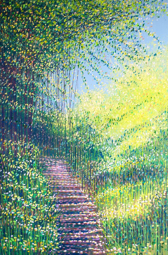 Forest Path In Sunlight