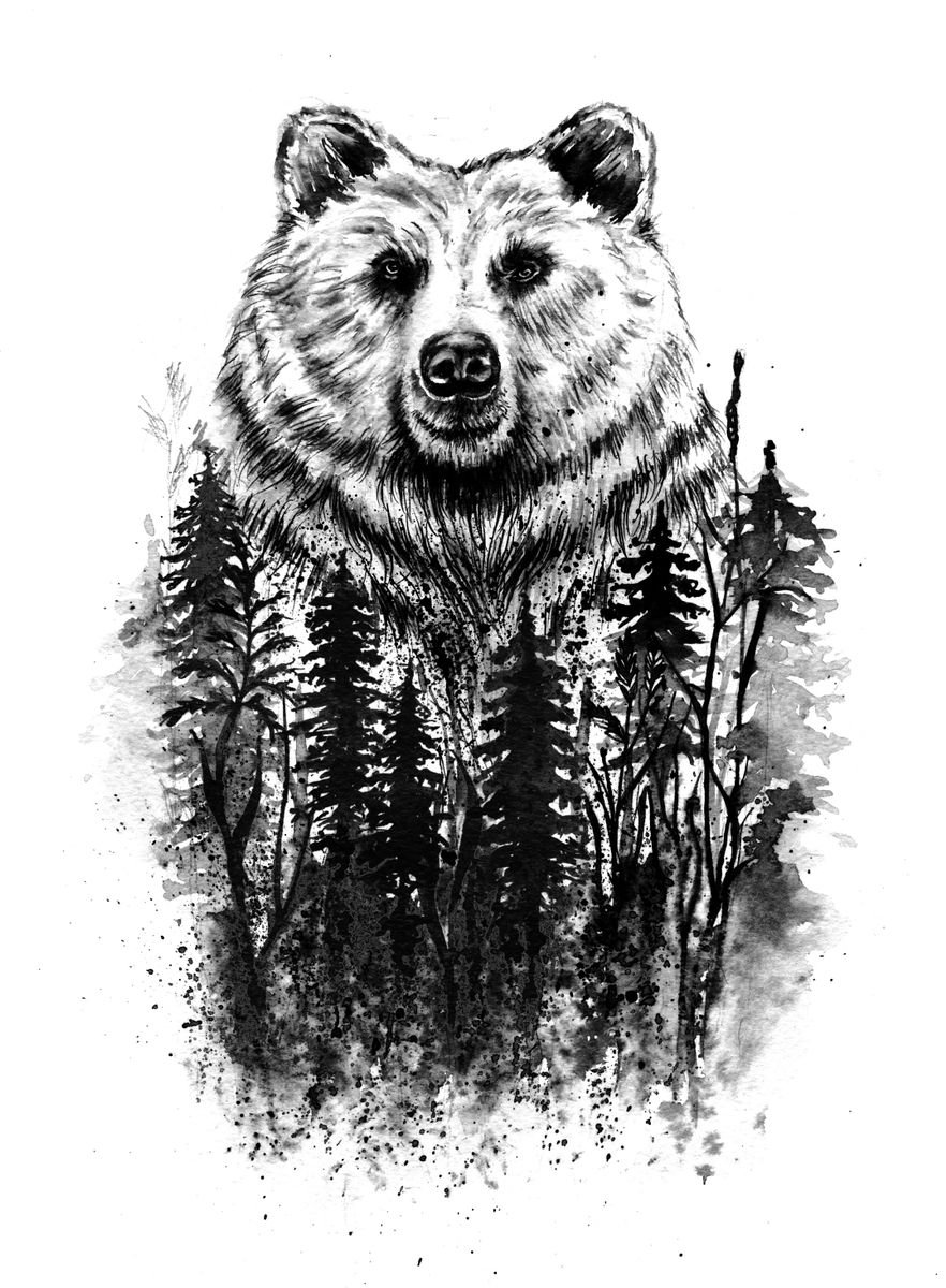 Expressive Animal Watercolour By Doriana Popa, 8 X 12, Bear, Original Artwork