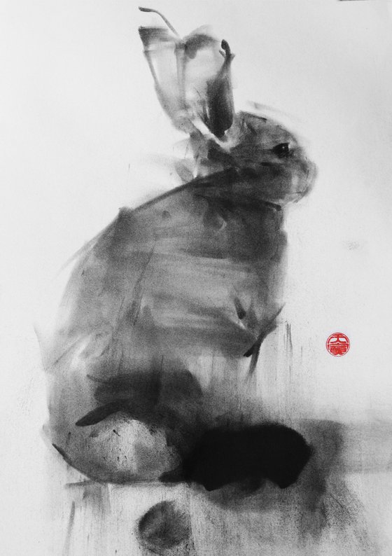 rabbit 003