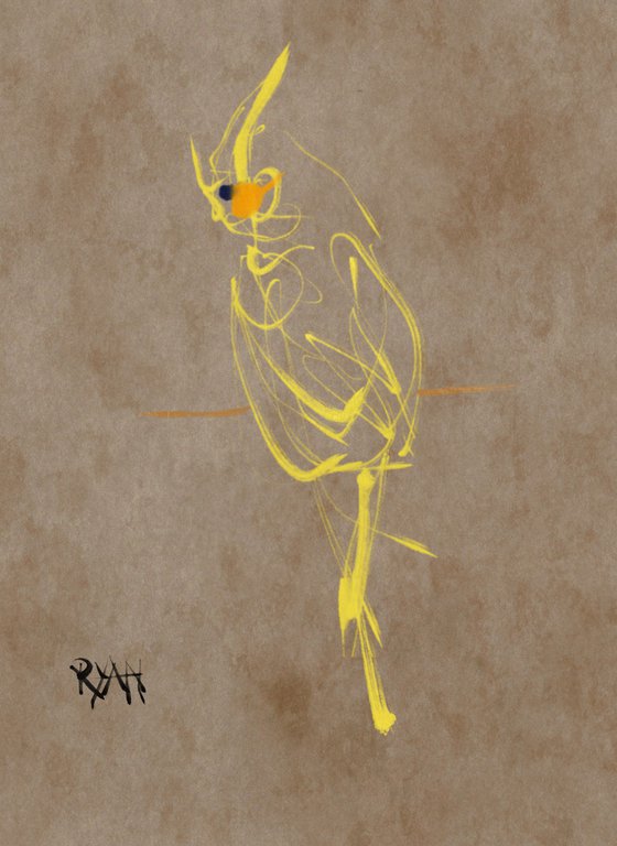 The Yellow Cockatiel