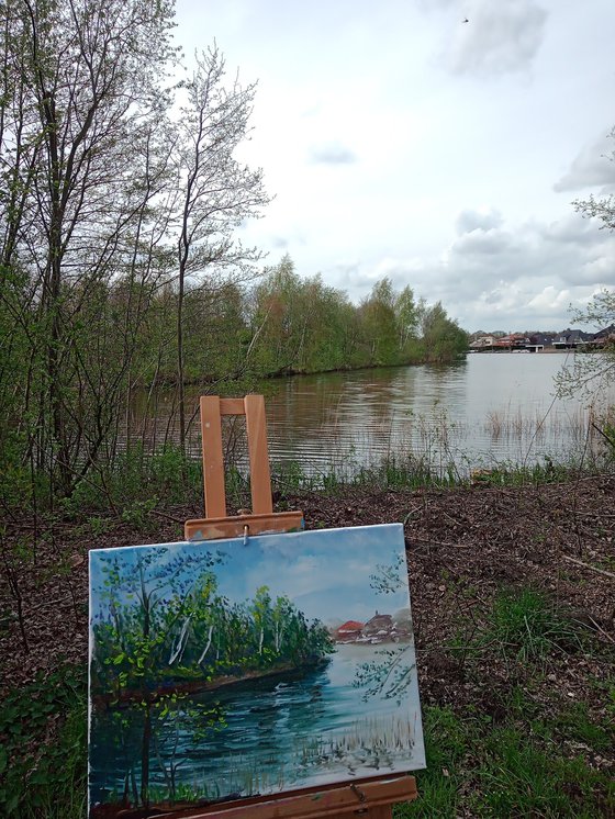 Birch trees on the lake