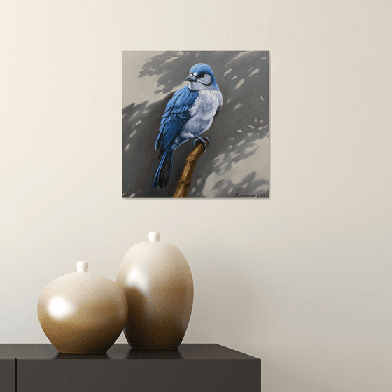 Blue Jay’s Vigil