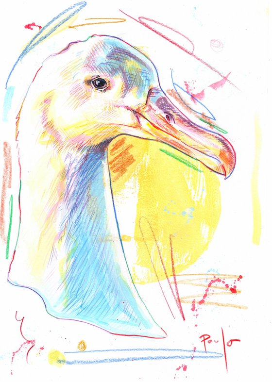 Great Albatros