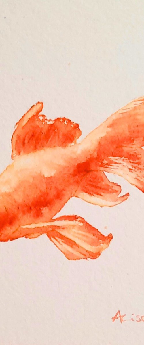 Swishy Soul - Fish Watercolour by Alison Fennell