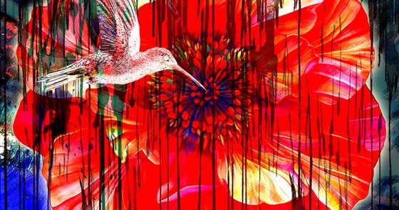 Flower and Colibri