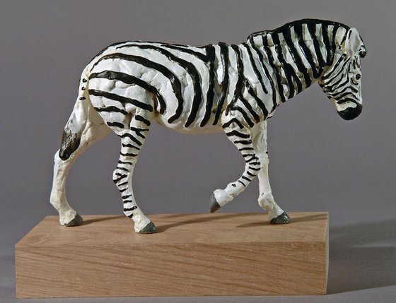 Zebra III