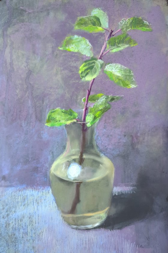 Plum Twig