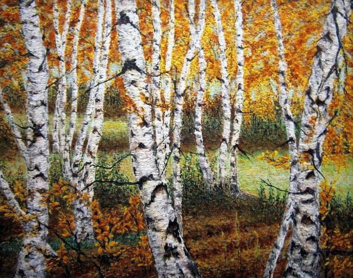 Birch trees in the forest .. by Em�lia Urban�kov�