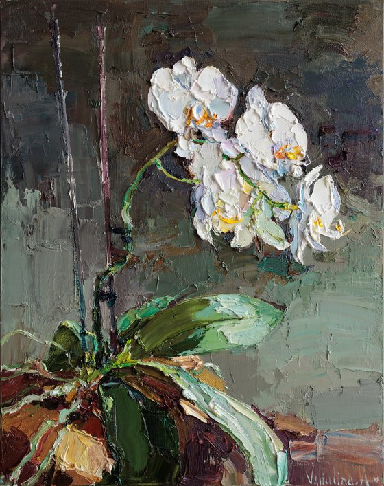 Blooming Orchid