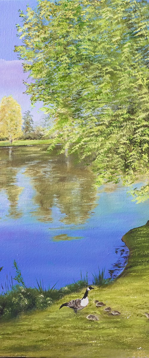 Evening stroll by Deborah Jayne Young