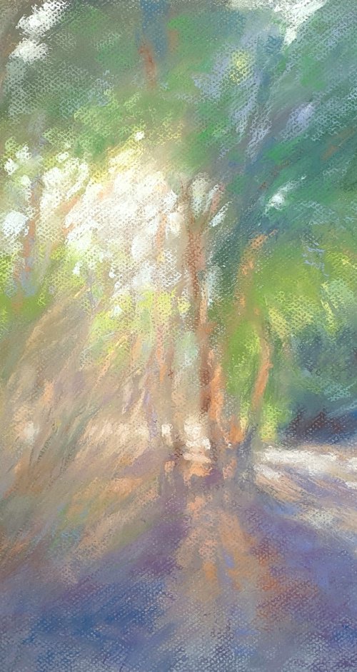 Eucalyptus grove in green by Elena Genkin