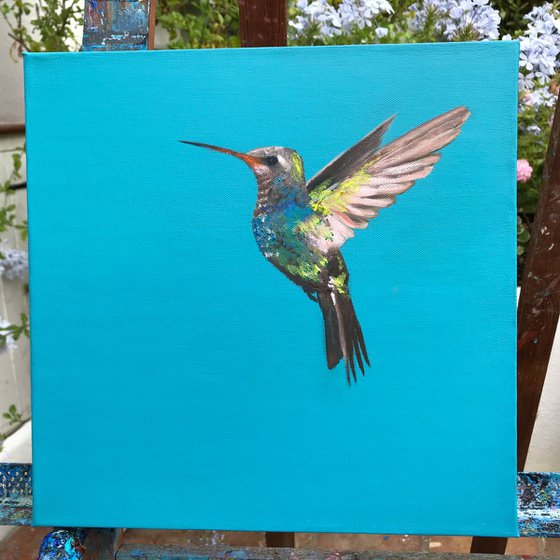 Hummingbird