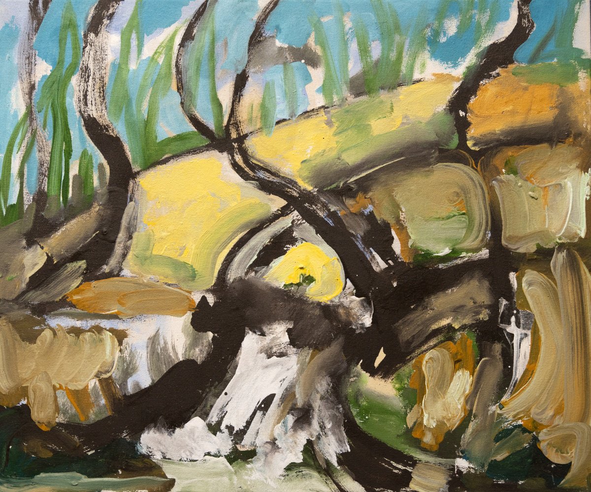 Wild Woods By Elizabeth Anne Fox, 24 X 20, Artwork For Sale On Artfinder