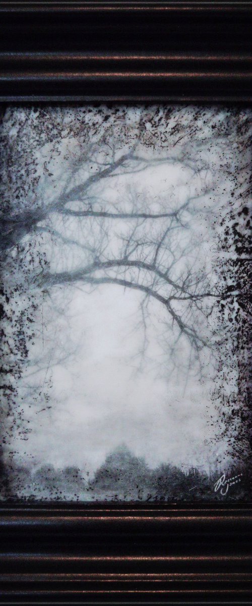 Framed Tree Haze by Roseanne Jones