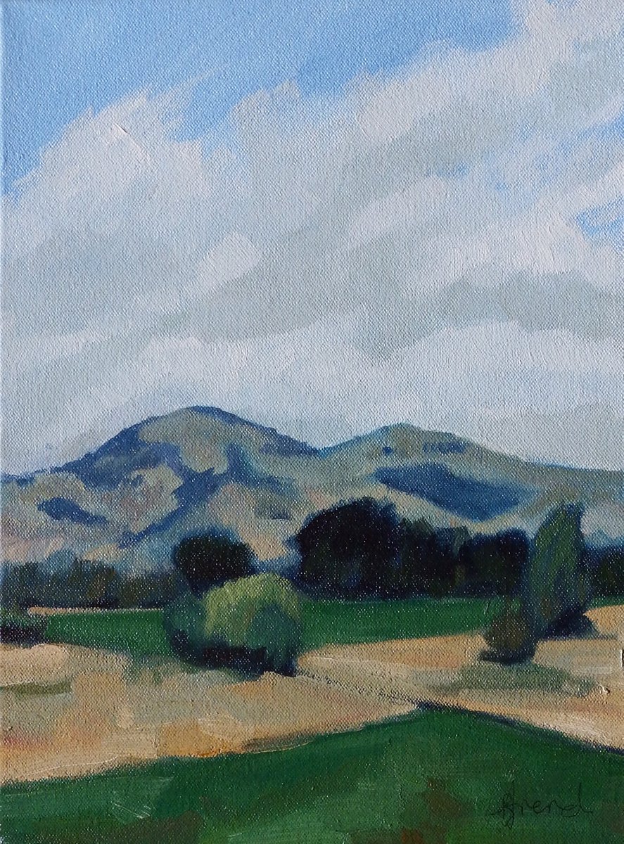 Towards Saddle Hill No2 by Baden French