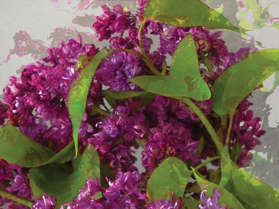 Lilas