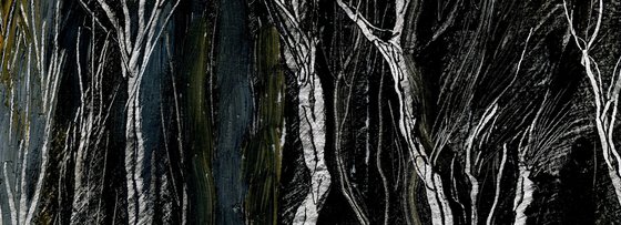 Mountain Ash Tree, Winter