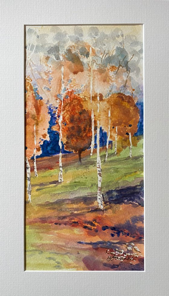Abstracted Silver birches
