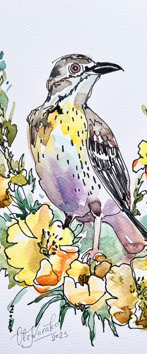 Northern Flicker2 by Ole Karako