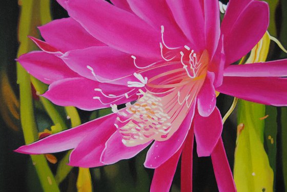 Cactus, Flower painting