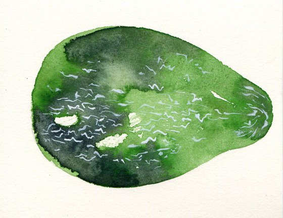 Original Watercolour Painting of a Single Avocado