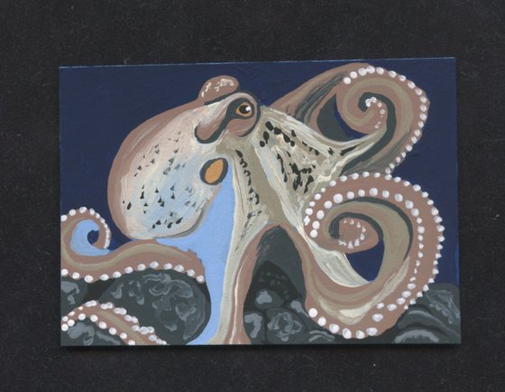 ACEO ATC Original Painting Octopus Marine Wildlife Art-Carla Smale