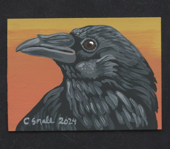 Crow Raven