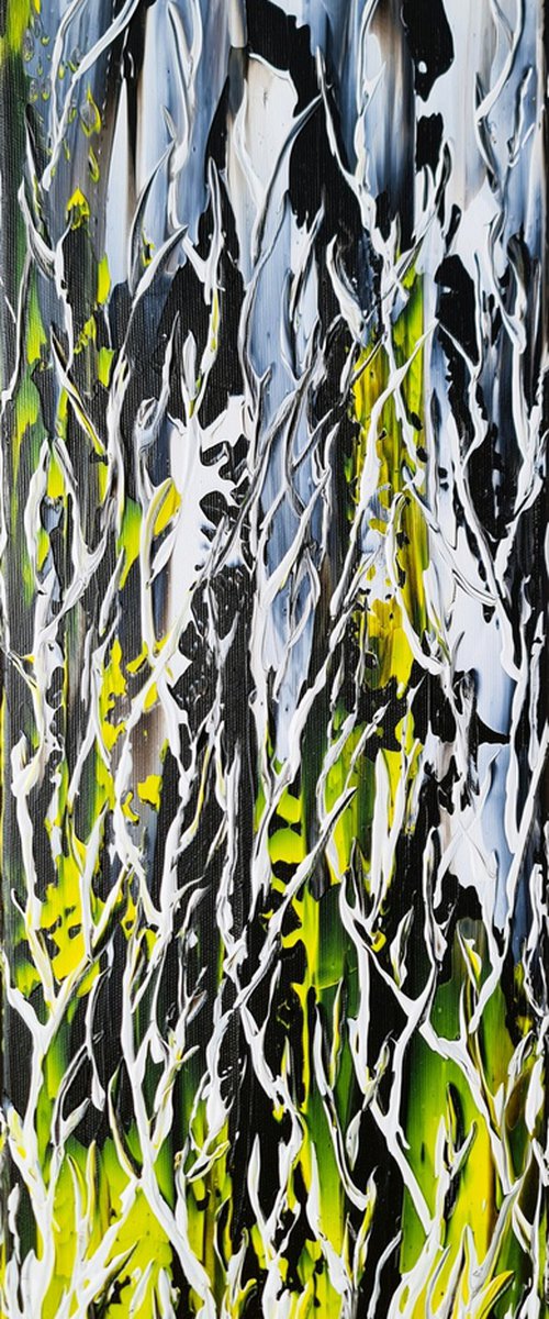 Birches In Storm by Daniel Urbaník