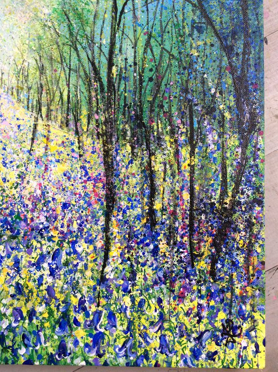 Bluebells and Wild Flora