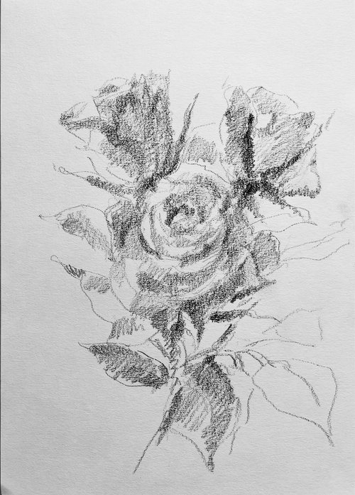 Roses #5 2020. Original charcoal drawing by Yury Klyan