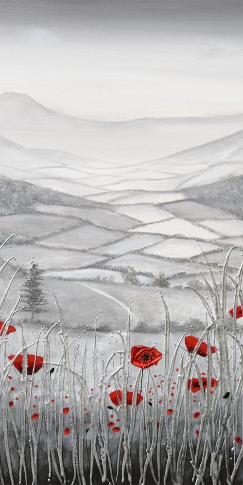 Poppies in the Valley by Amanda Dagg