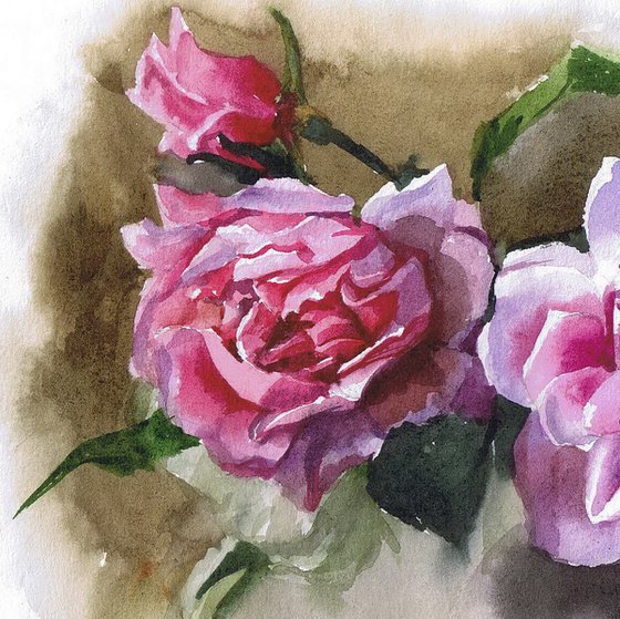 Watercolor pink peonies