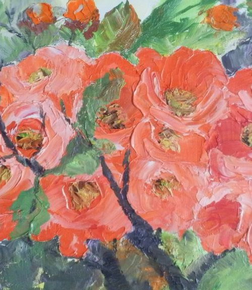 Japanese quince flowers by Maria Karalyos