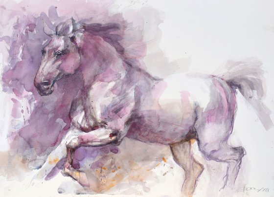 Horse in run  (70x50)