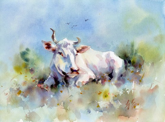 White cow