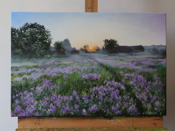 Purple Meadow at Sunrise